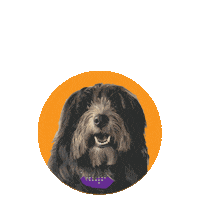 Beer Burger Sticker by Monster Burgers