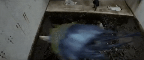 fantastic beasts and where to find them trailer GIF