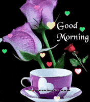 Good Morning Feliz GIF by Murcianys LLC