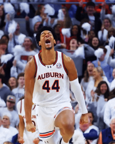 Basketball Celebration GIF by Auburn Tigers
