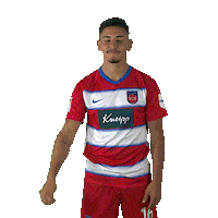 fch_1846 dislike fch heidenheim daumen runter Sticker