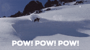 powder shred GIF by Atomic Austria GmbH