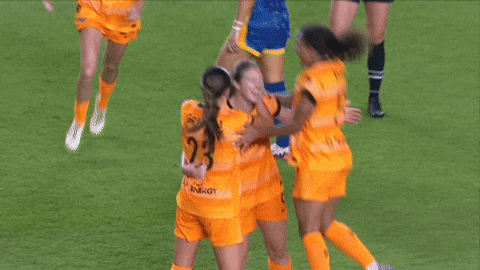 2025 GIF by National Women's Soccer League