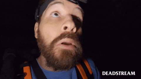 Comedy No GIF by Deadstream