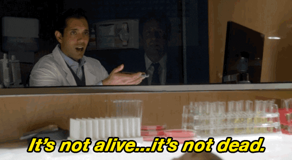 x files GIF by The X-Files