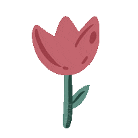 klynskin skincare flor kbeauty tulipan Sticker