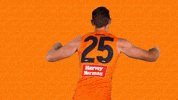 Afl GIF by GIANTS
