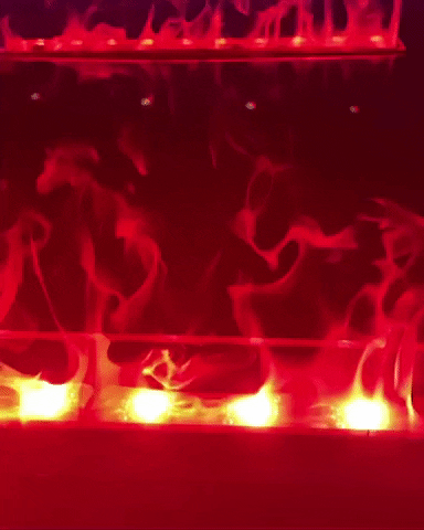 zolaystudio giphygifmaker fire lit a forest for the trees GIF