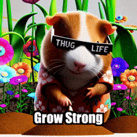 Positive GIF by Guinea Gambino