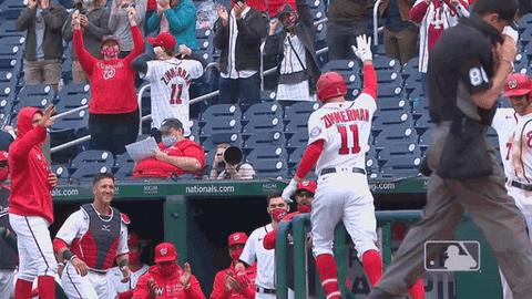 Baseball Wave GIF by MLB