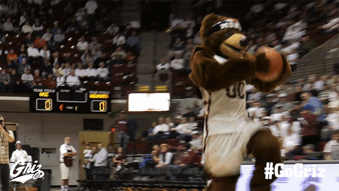Basketball Monte GIF by Montana Grizzlies