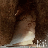 Movie Film GIF by Raven Banner Entertainment