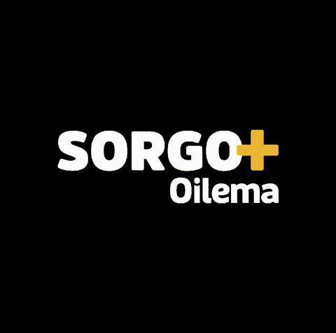 GIF by SementesOilema