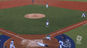team italy GIF by MLB