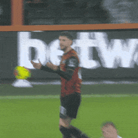 Confused Premier League GIF by AFC Bournemouth