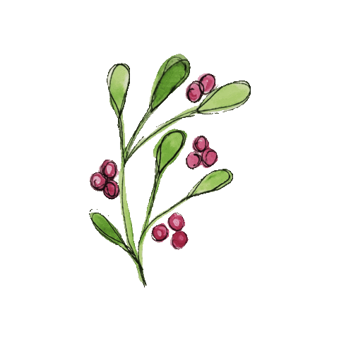 Christmas Berries Sticker by CocoCreatess