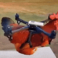 Farm Life Ai GIF by Respective