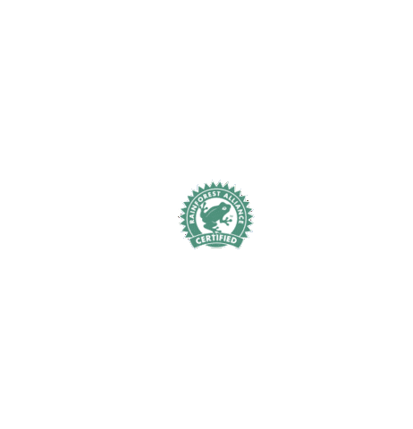 followthefrog Sticker by Rainforest Alliance