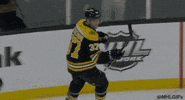 Happy Ice Hockey GIF by NHL