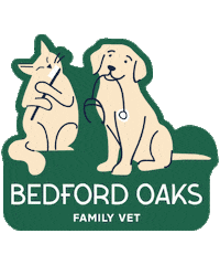 familyvetgroup vet veterinarian familyvet family vet Sticker