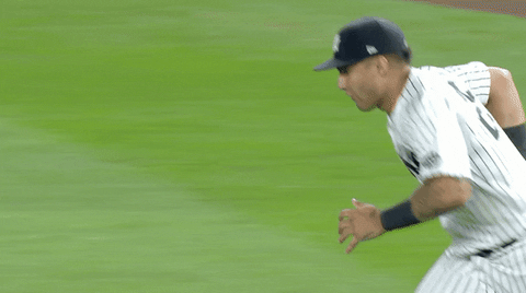 New York Yankees GIF by Jomboy Media