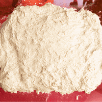 sourdoughdisco disco sourdough GIF