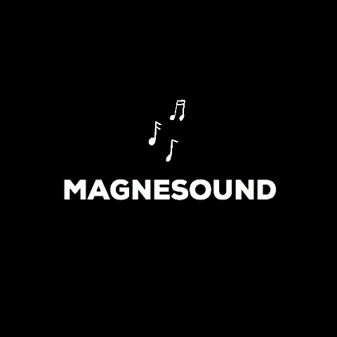 Magnesound magnesound GIF