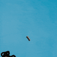 GIF by Retro Future E-Girl