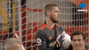 Angry Premier League GIF by MolaTV