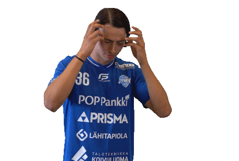 F-liiga giphyupload floorball salibandy innebandy Sticker