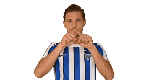 Niklas Stark Facepalm Sticker by Hertha BSC