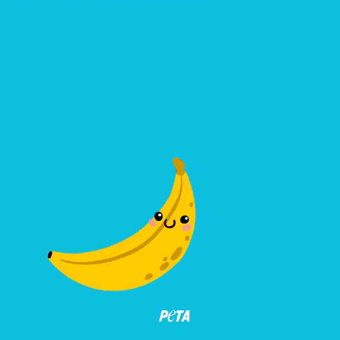 Go Vegan GIF by PETA