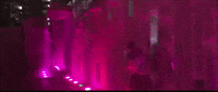 North Carolina Video GIF by Sam Pomerantz