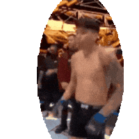 Ufc Mma Sticker