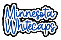 Ice Hockey Sticker