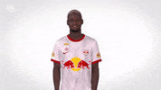 Lets Go What GIF by FC Red Bull Salzburg