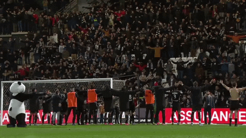 GIF by Ligue 1