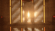 Florida State Softball GIF by NCAA Championships