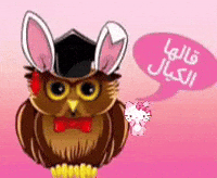 Mgseverydayuntilitsarabic GIF