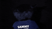rice sammy GIF