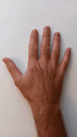 Simongip giphyupload GIF