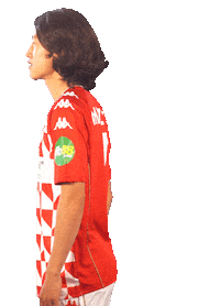 Bundesliga Lee Sticker by 1. FSV Mainz 05