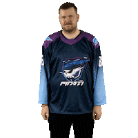 Nhl Esports Sticker by Piráti Chomutov