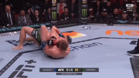 giphy.gif