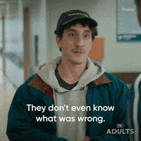 Fx Networks What GIF by Adults