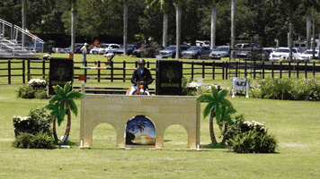 Grand Prix Horse GIF by Eye Candy Jumpers
