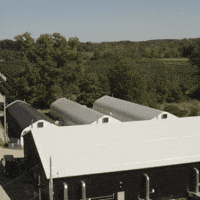 Plant Grow GIF by Exclusive Brands