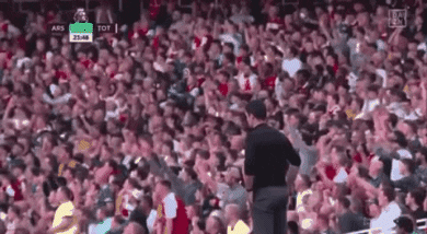 Happy Premier League GIF by arcalle