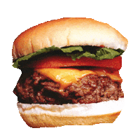hamburger GIF by imoji