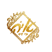 Sruly Productions Jewish Music Sticker by srulymeyer